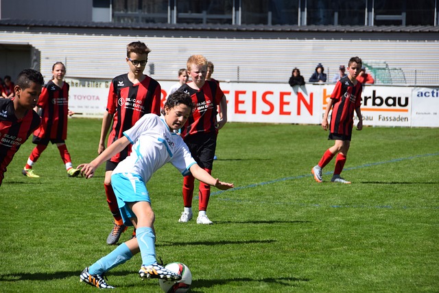 的观察和分 的观察和分